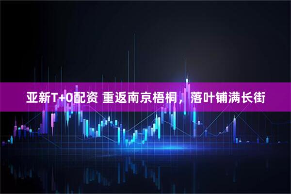 亚新T+0配资 重返南京梧桐，落叶铺满长街